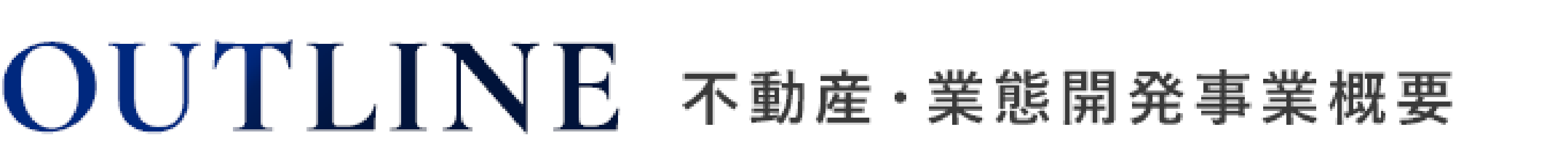 不動産・業態開発事業概要