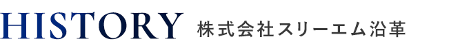 株式会社スリーエム　沿革